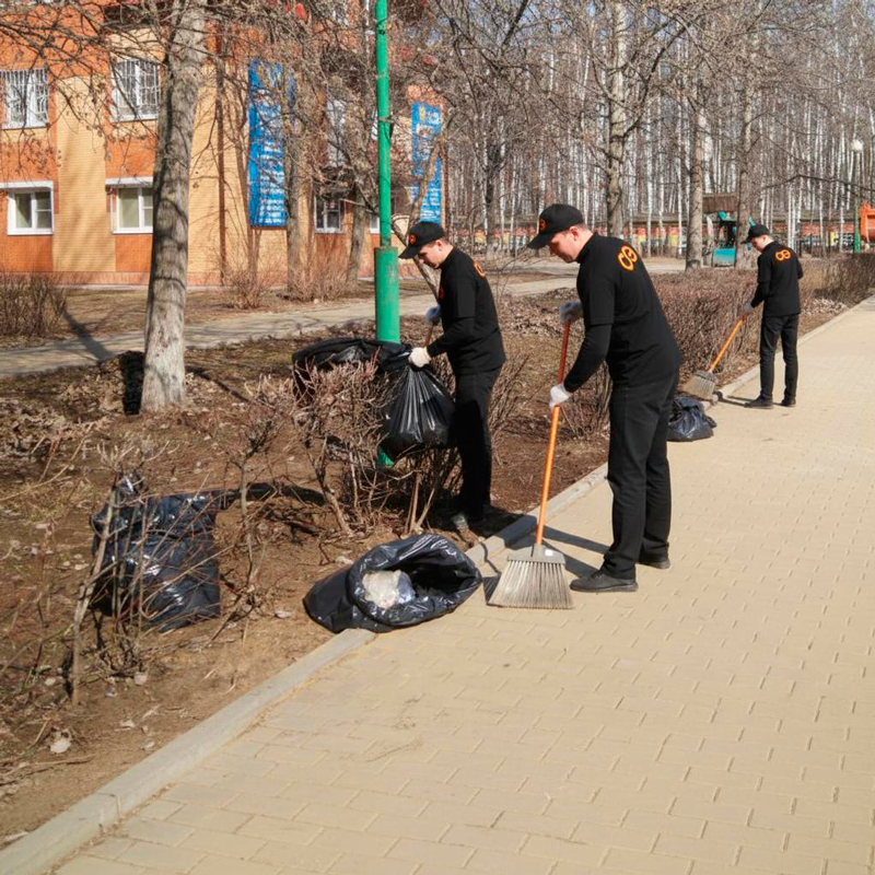 Уборка листьев в Ростове-на-Дону